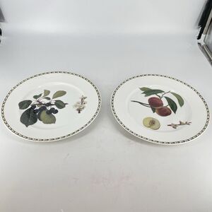 RHS Royal Horticultural Society Botanical Dinner Plates Set 2 India 10 7/8”